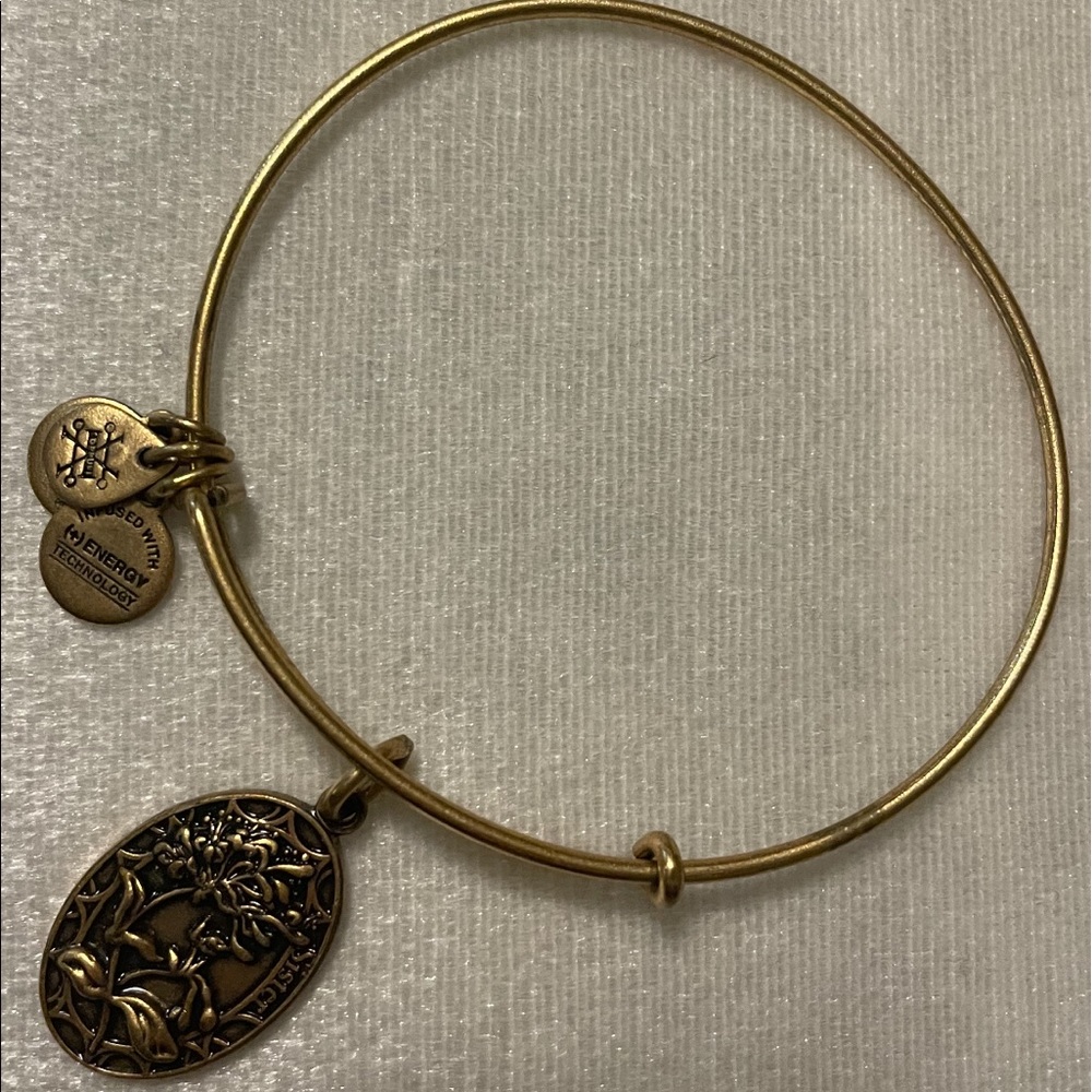 Alex & Ani friendship bracelet